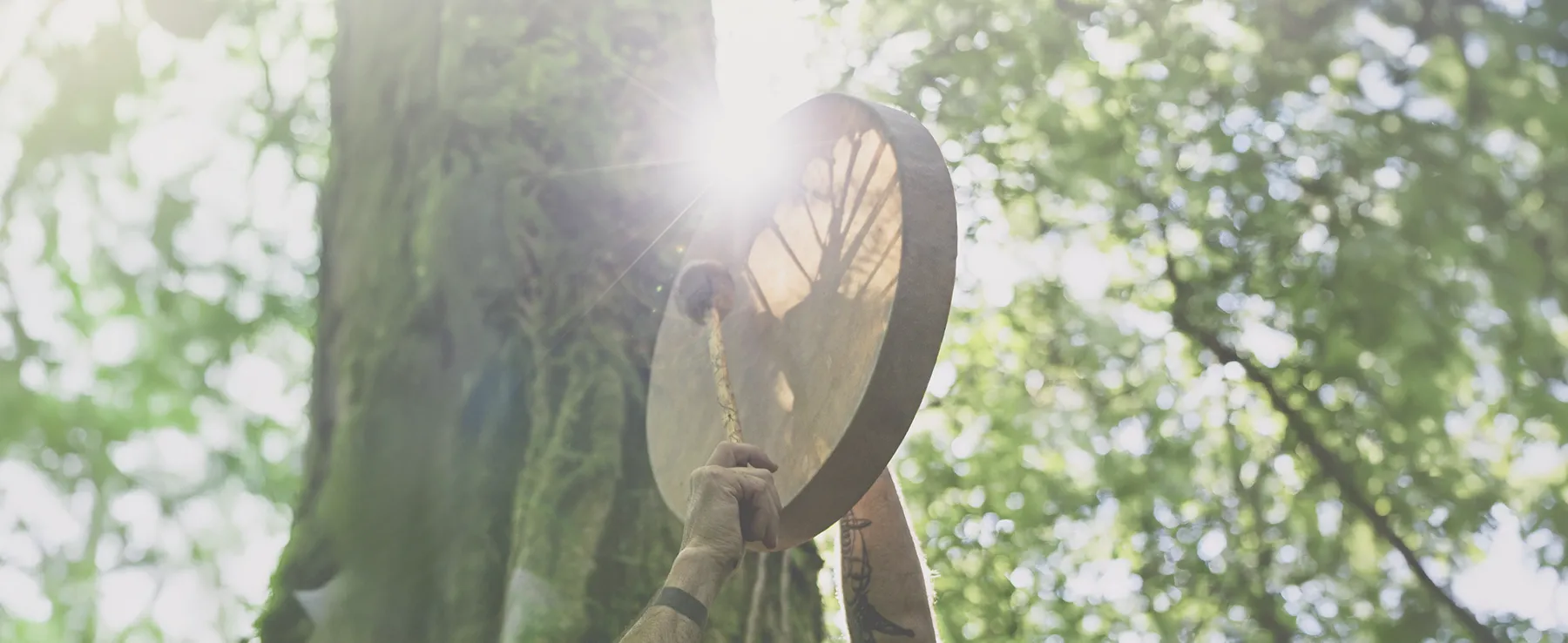 experiencia sonora latido